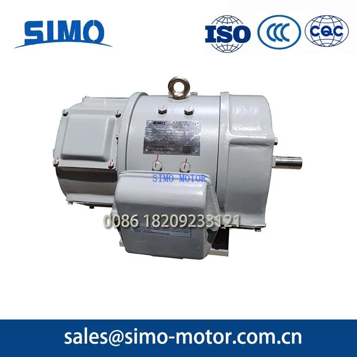 Oil Pump Dc Motor