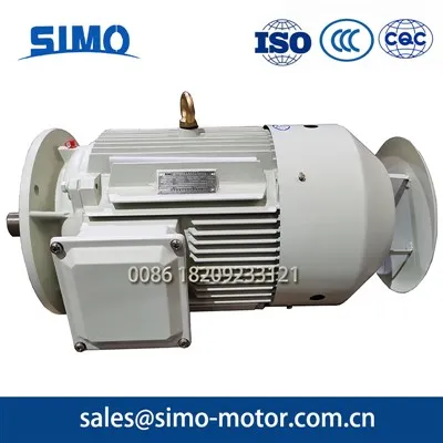 2 Pole Induction Motor - siri Simo Ye3